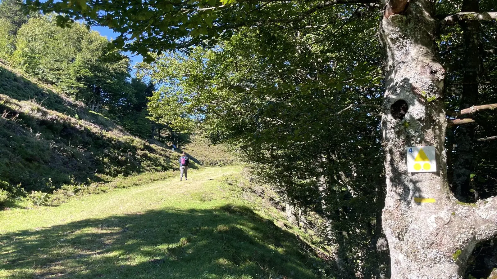 Circuit pédestre et VTT