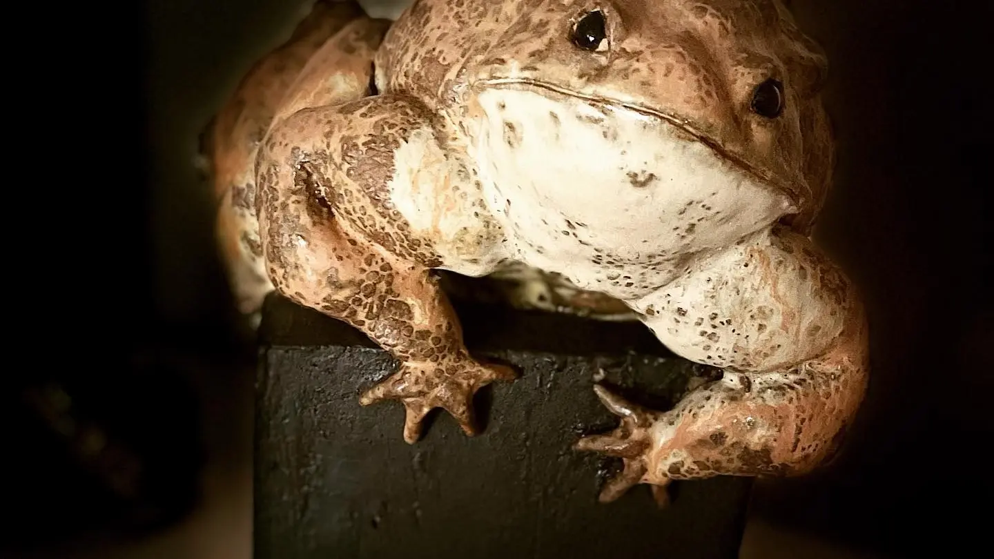 Crapaud - Gaelle Guingant -Convert