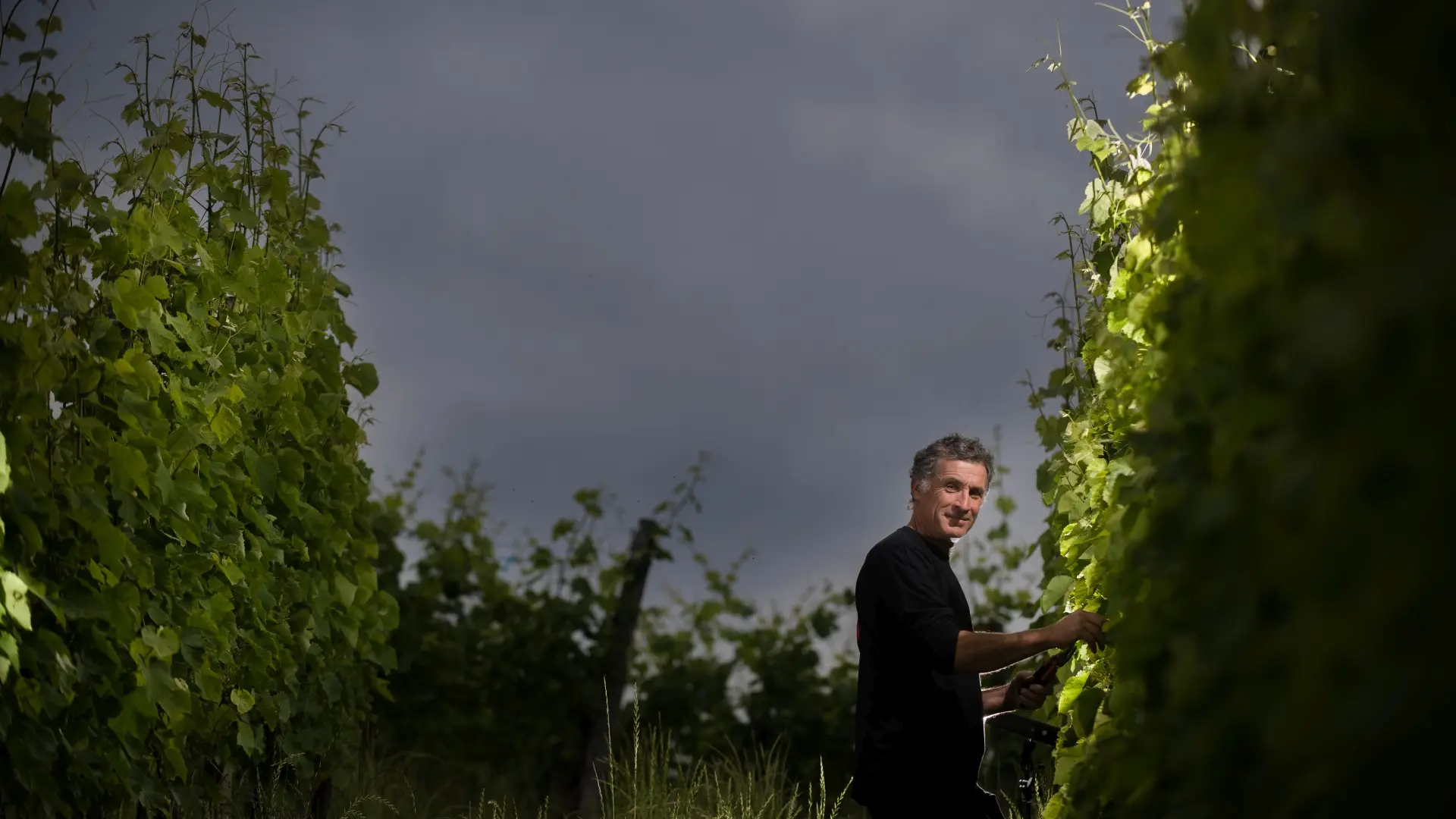 Domaine Tinou à Lasseube