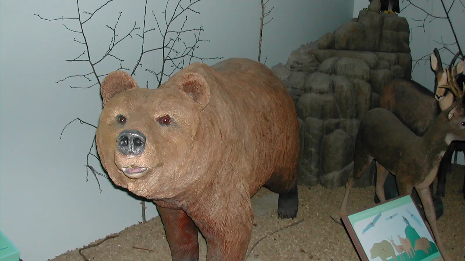 Maison du Parc national des Pyrénées - Etsaut