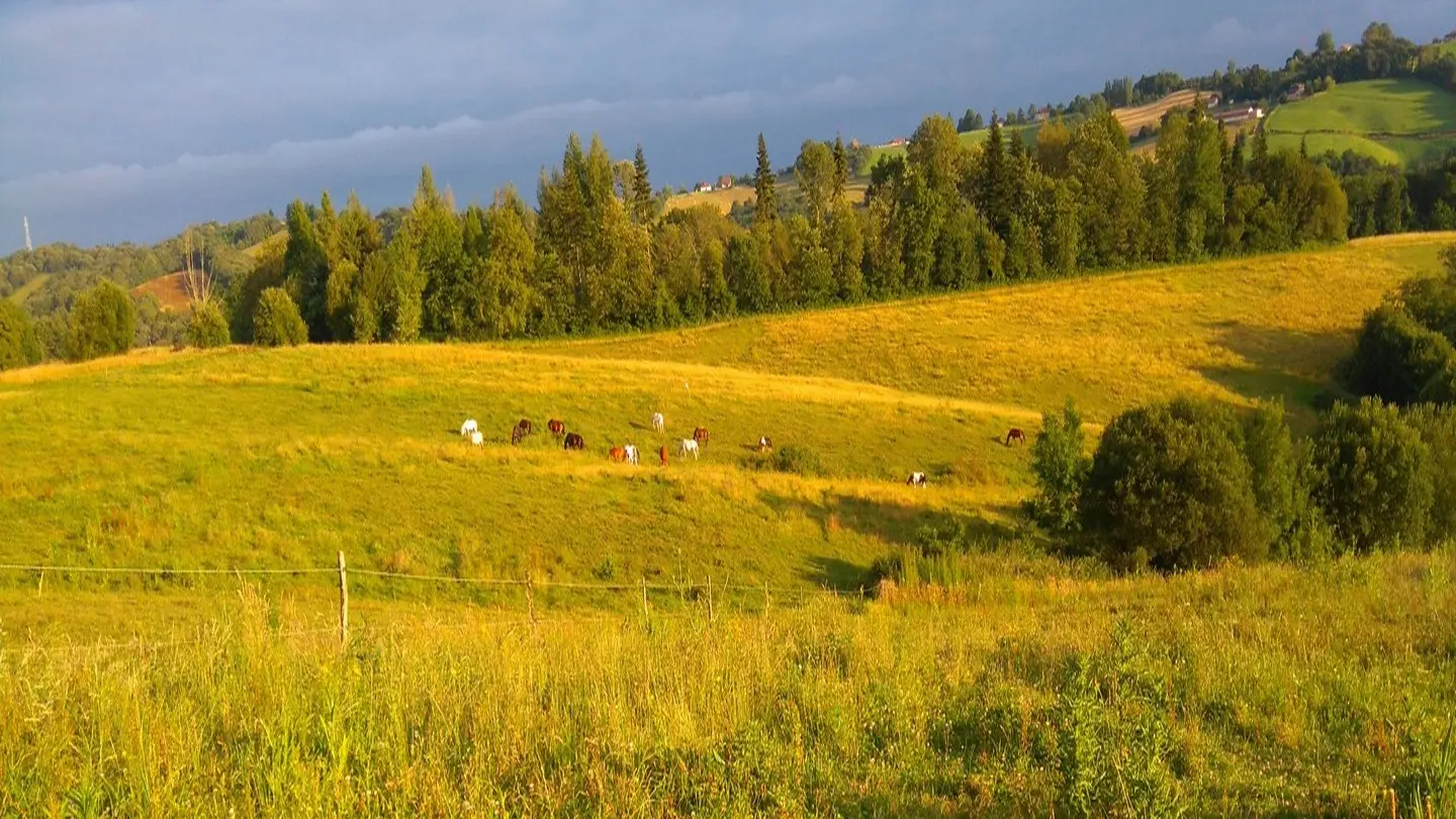 Les Ecuries des Gaves