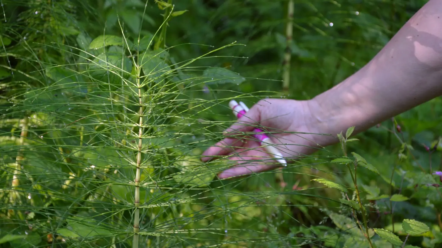 Parcours de découverte de Salies-de-Béarn