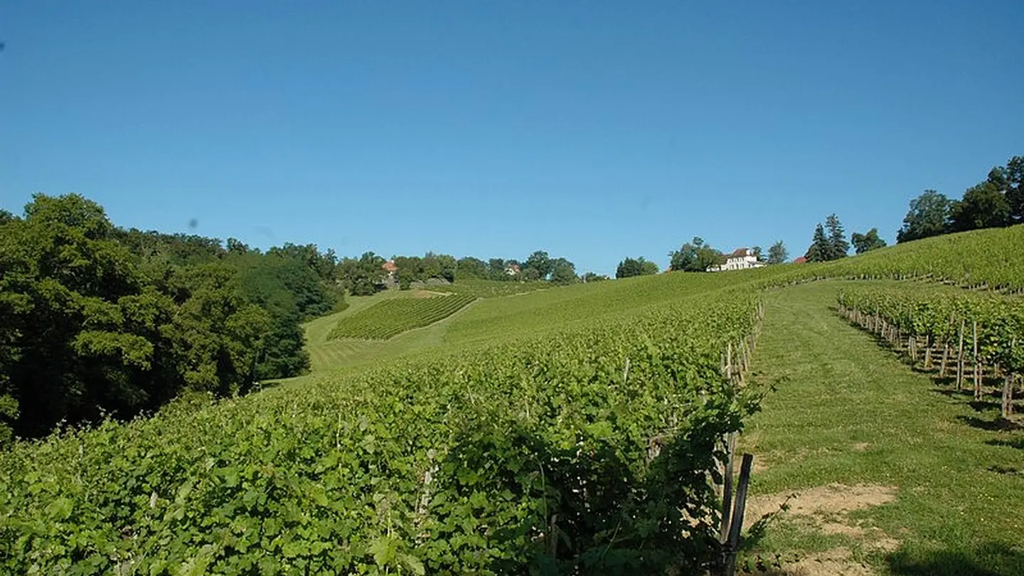 Domaine Lapeyre Guilhemas