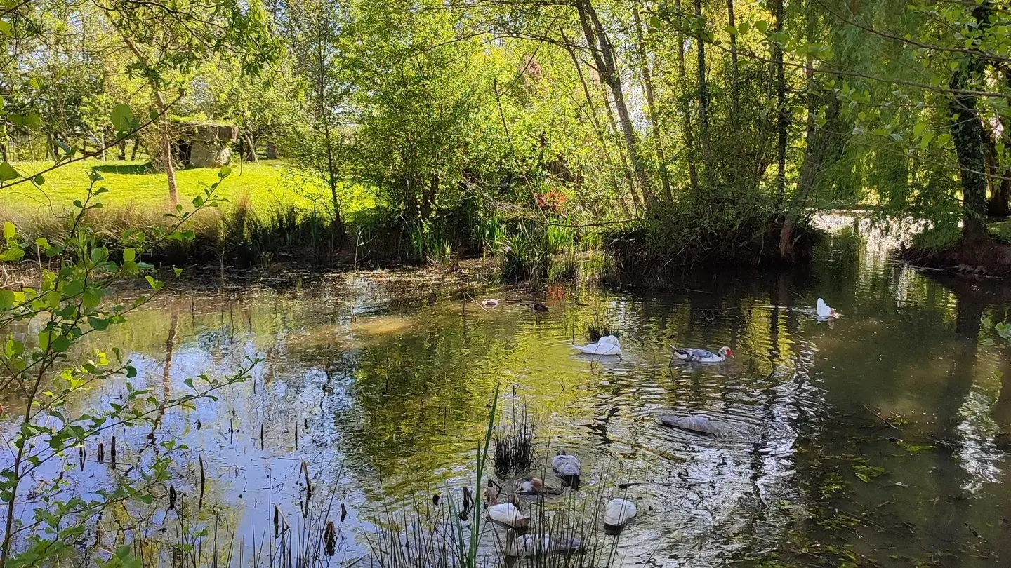 De couleur et d'eau fraîche - Maison - dolmen etang