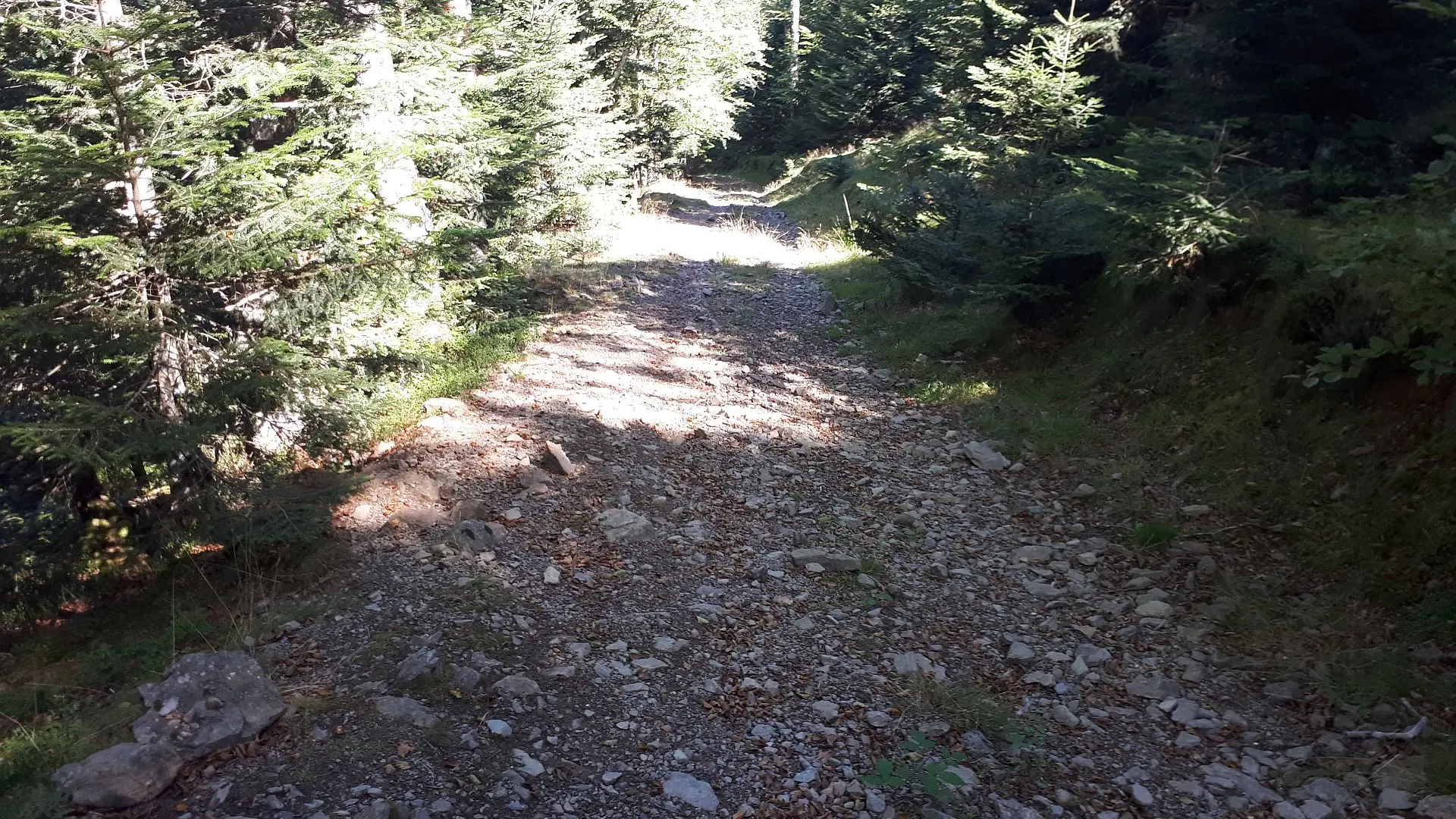 VTT N°15 - Descente d'Issarbe