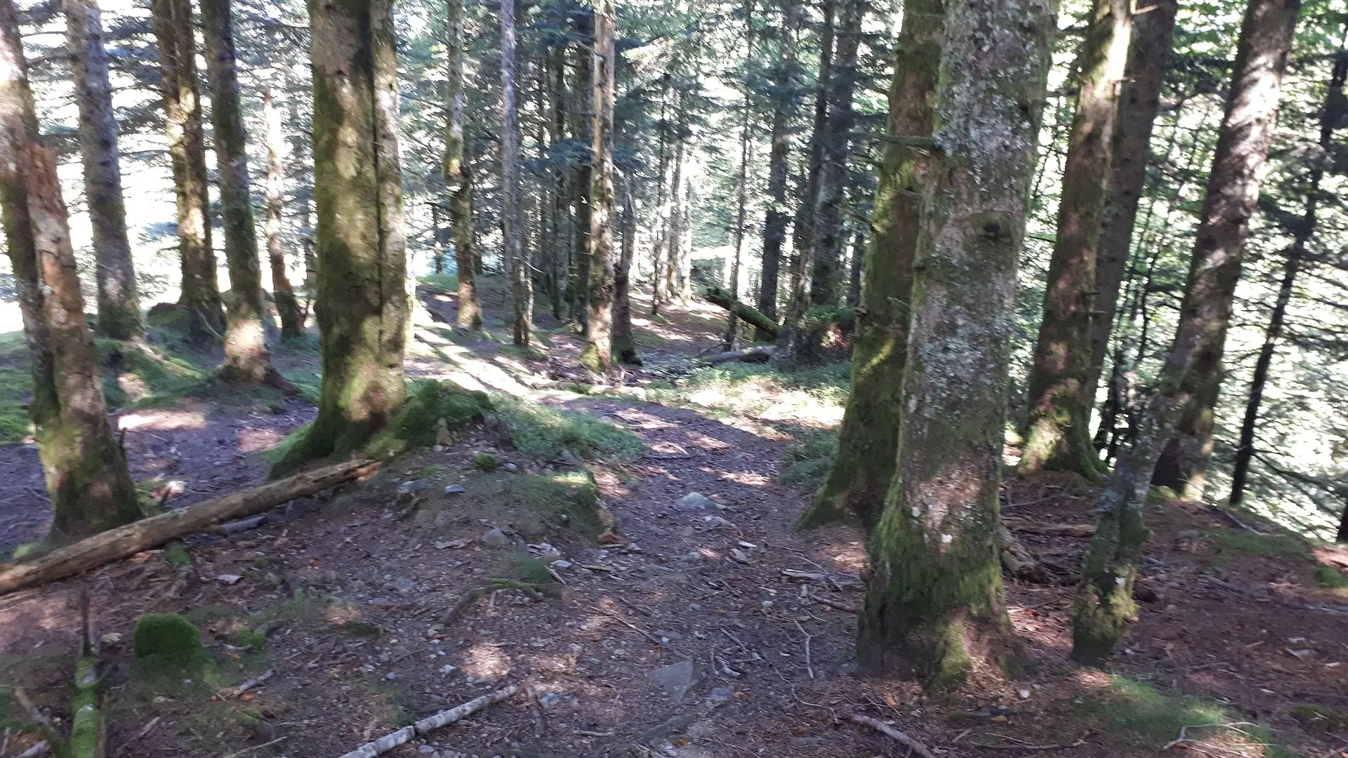 VTT N°15 - Descente d'Issarbe
