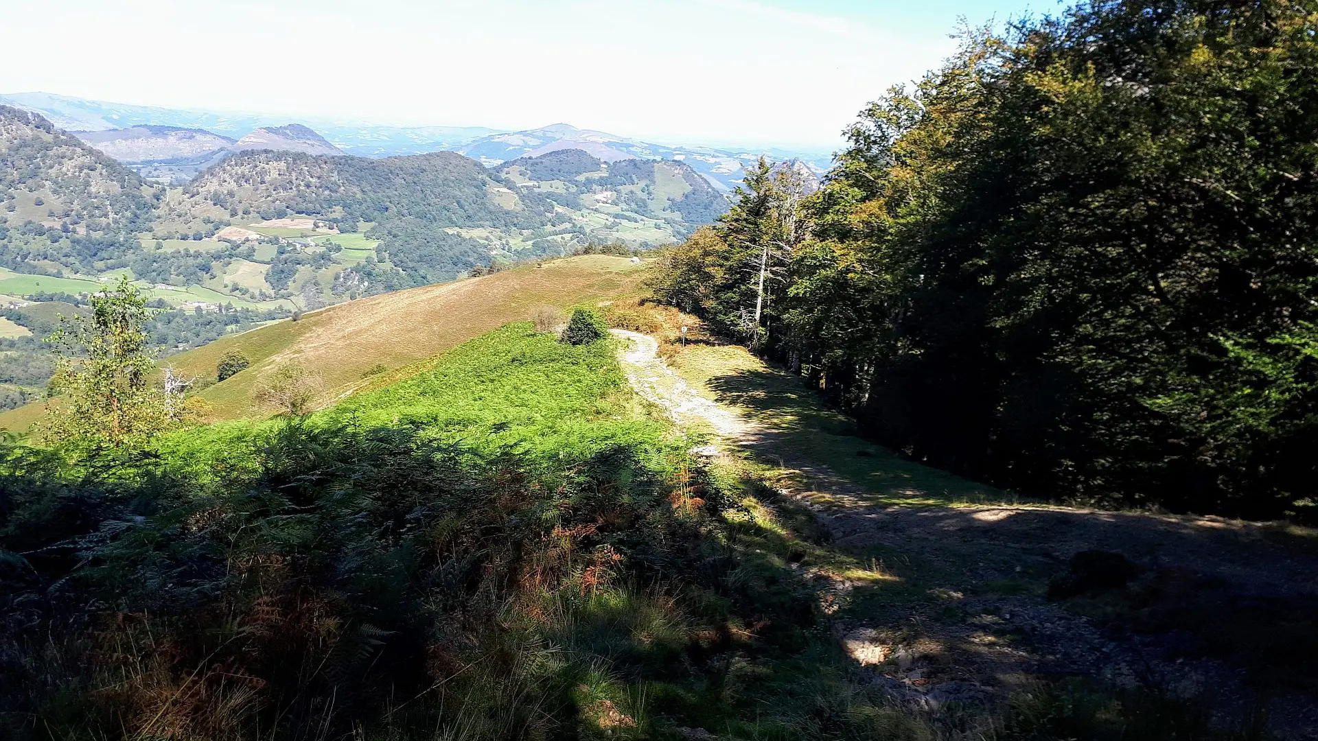 VTT N°15 - Descente d'Issarbe