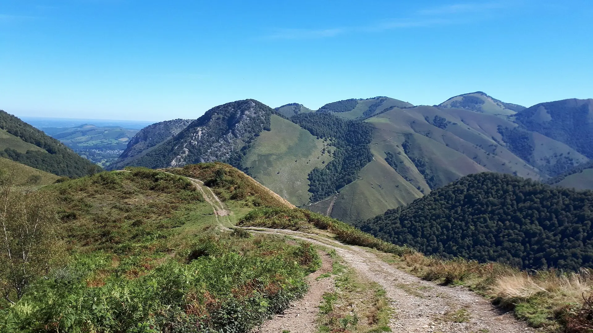 VTT N°15 - Descente d'Issarbe