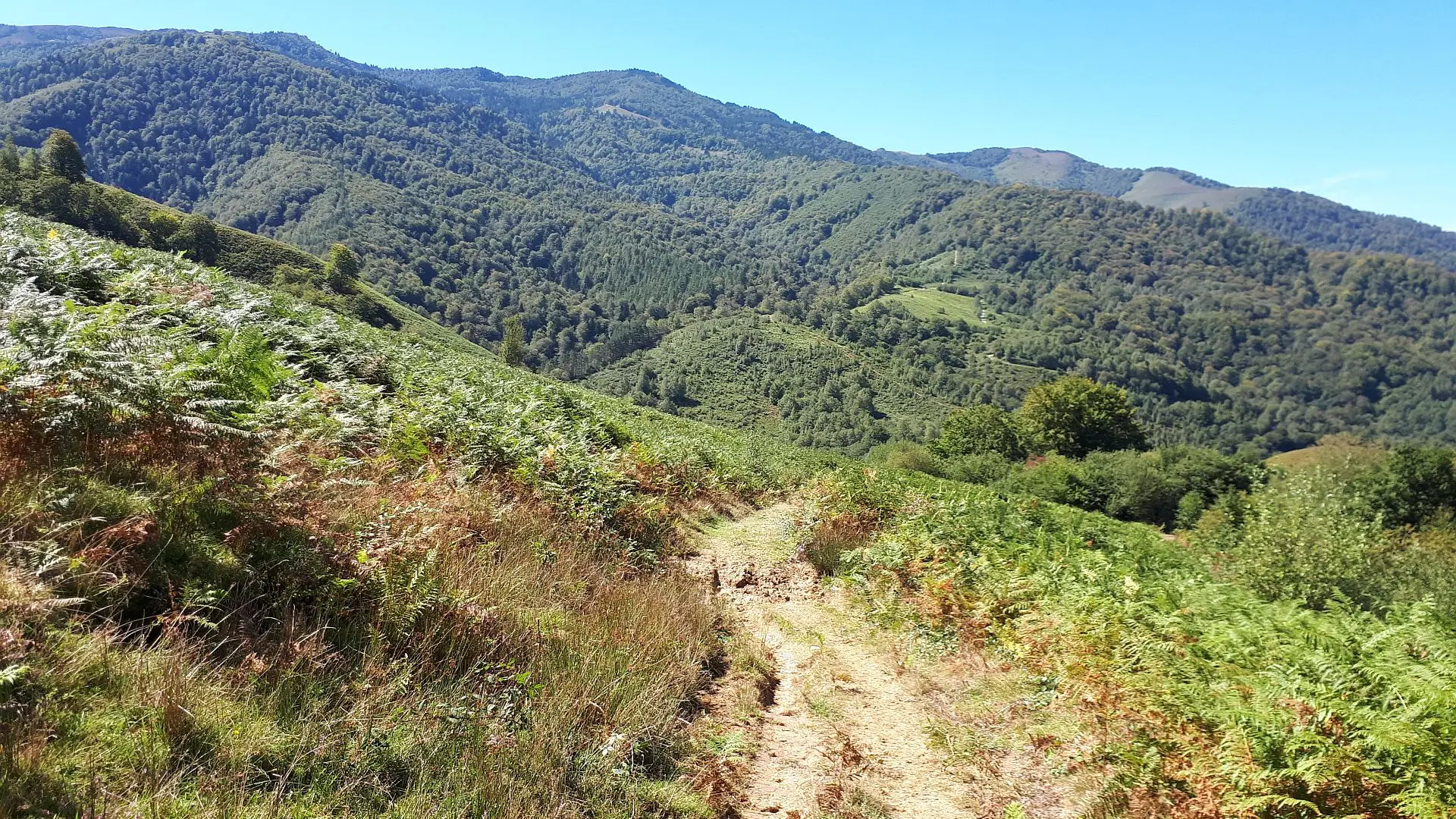 VTT N°15 - Descente d'Issarbe