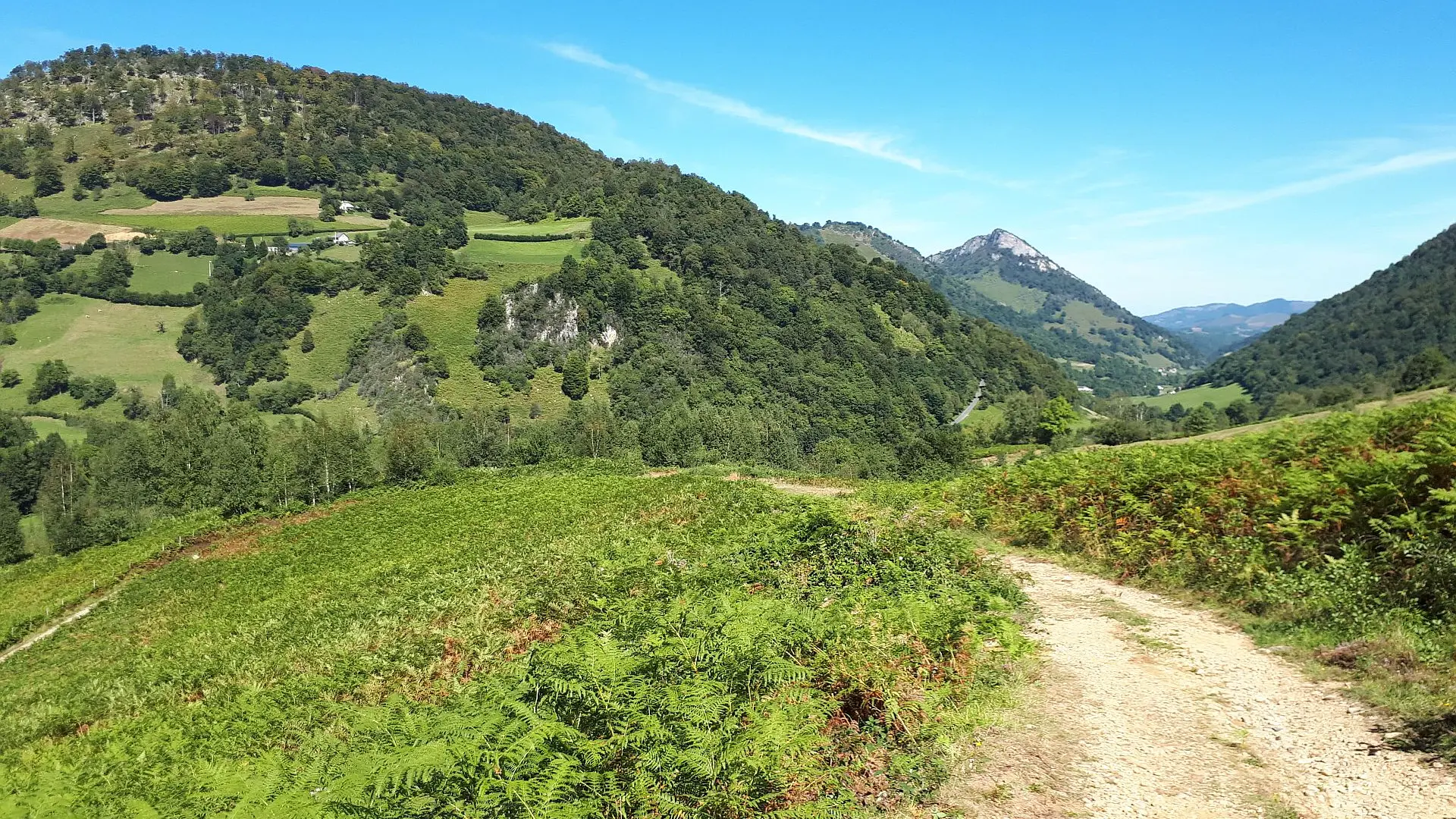 VTT N°15 - Descente d'Issarbe