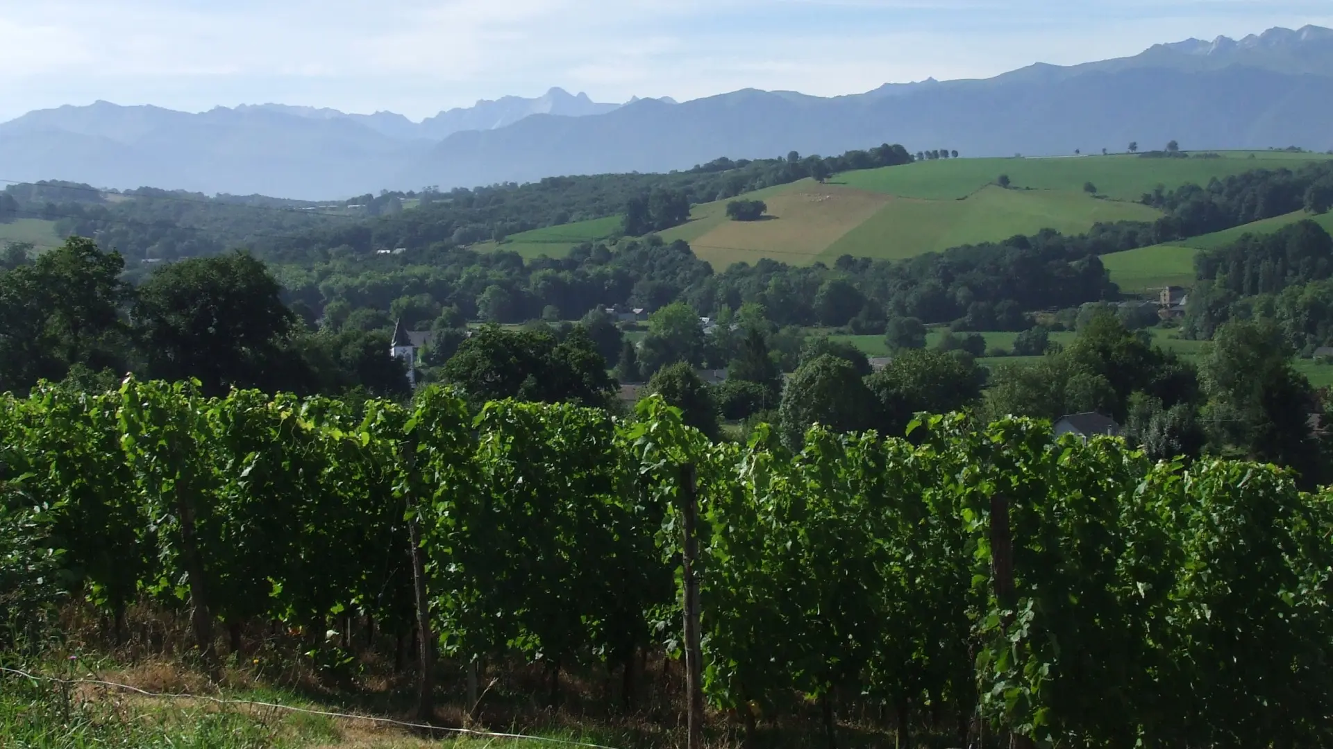 Domaine Naba - Vignes I (Mathieu Lacanette-Naba)