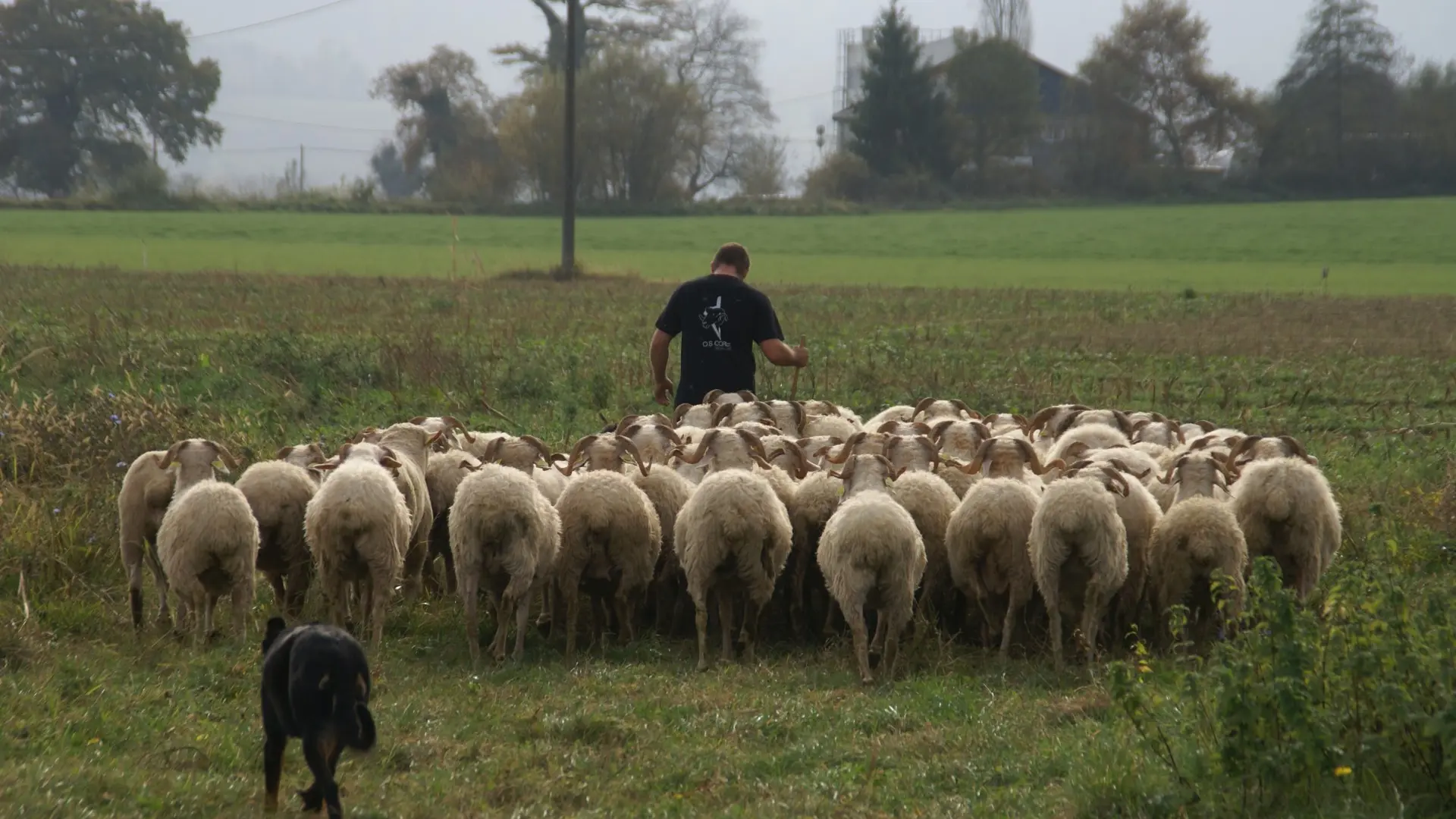 La Ferme du Payssas à Asasp-Arros