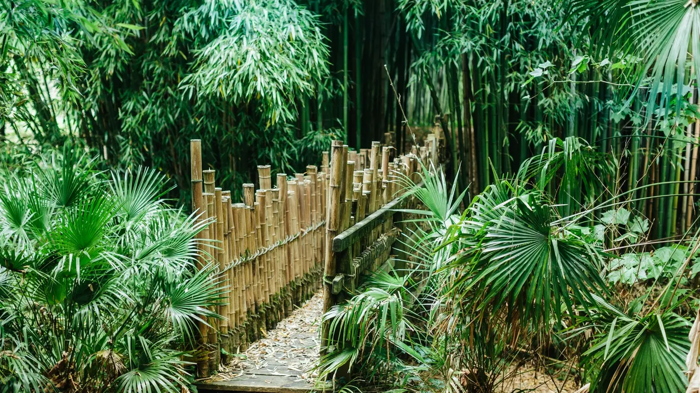 Musée du château de Laàs