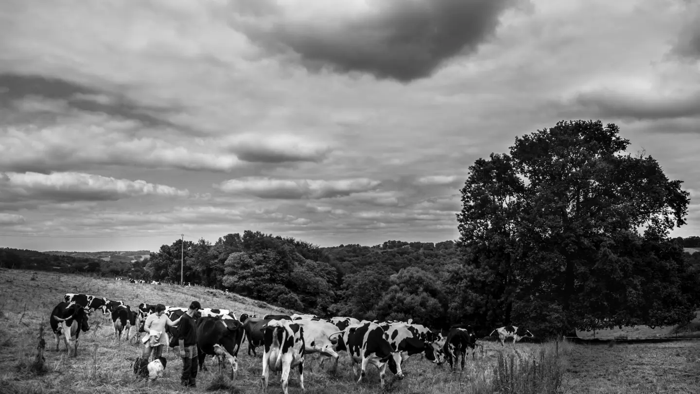 FERME DE PEYRECOR 4 (Sébastien ARNOUTS)