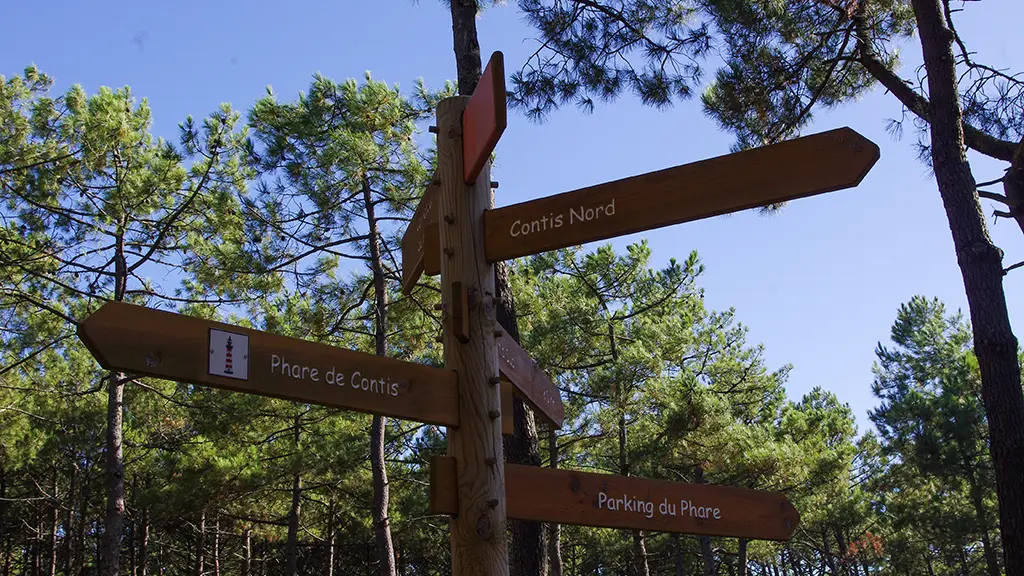 FERNANDES Marie - CONTIS - Piste cyclable (1)_Web