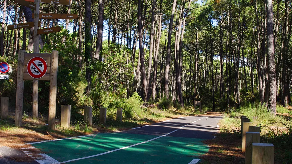 FERNANDES Marie - CONTIS - Piste cyclable (3)_Web