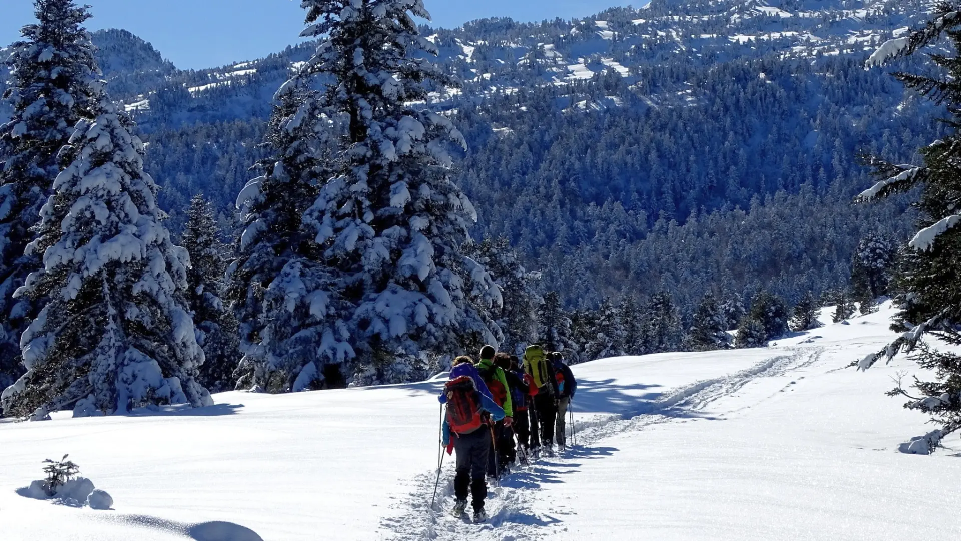 Sortie raquettes à neige