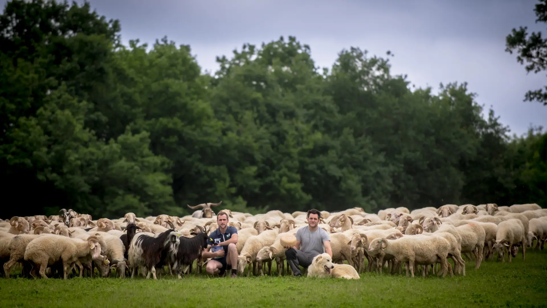 Gaec Mounet - Famille Arrieuberge