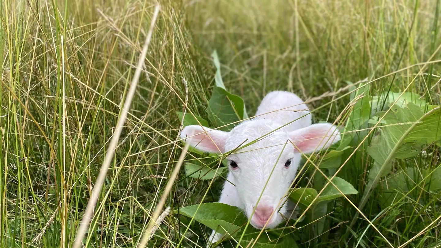 Domaine Labouroume - Chambre d'hôtes