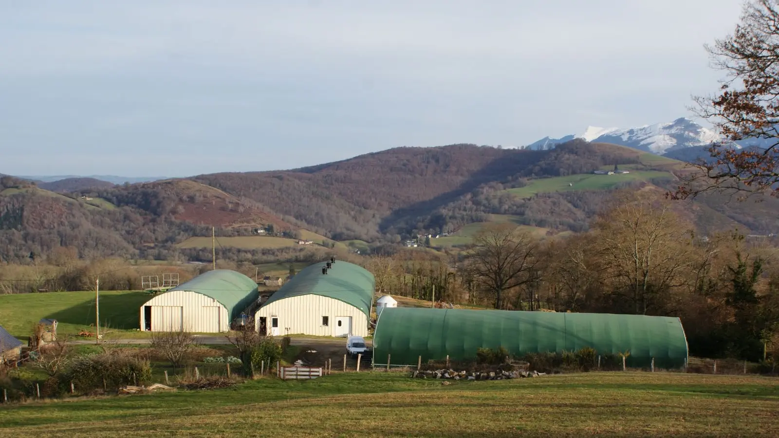 Ferme Casebonne - La ferme