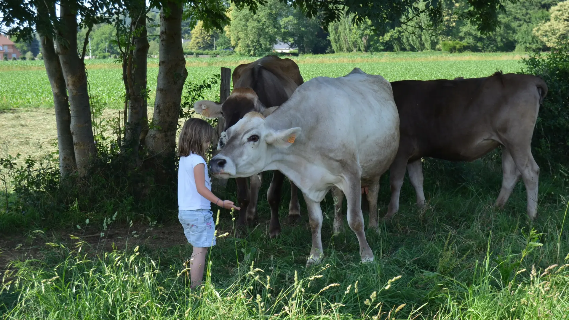 Ferme de la Porte d'Aspe à Gurmençon