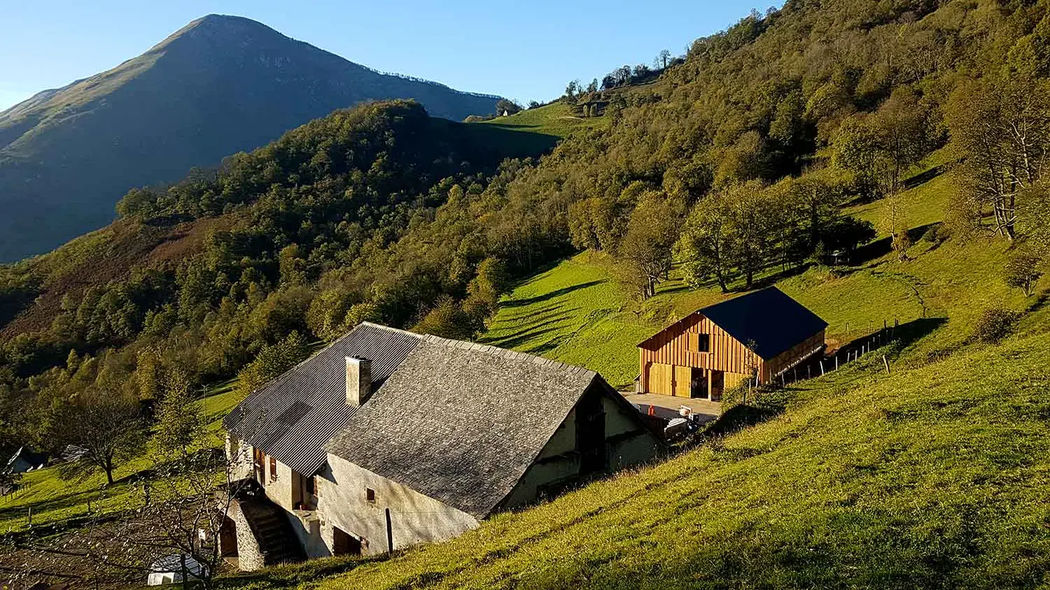 La Ferme de Soubille à Bedous