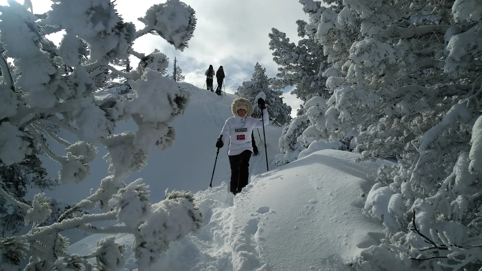 Sortie raquettes à neige à la Pierre Saint-Martin