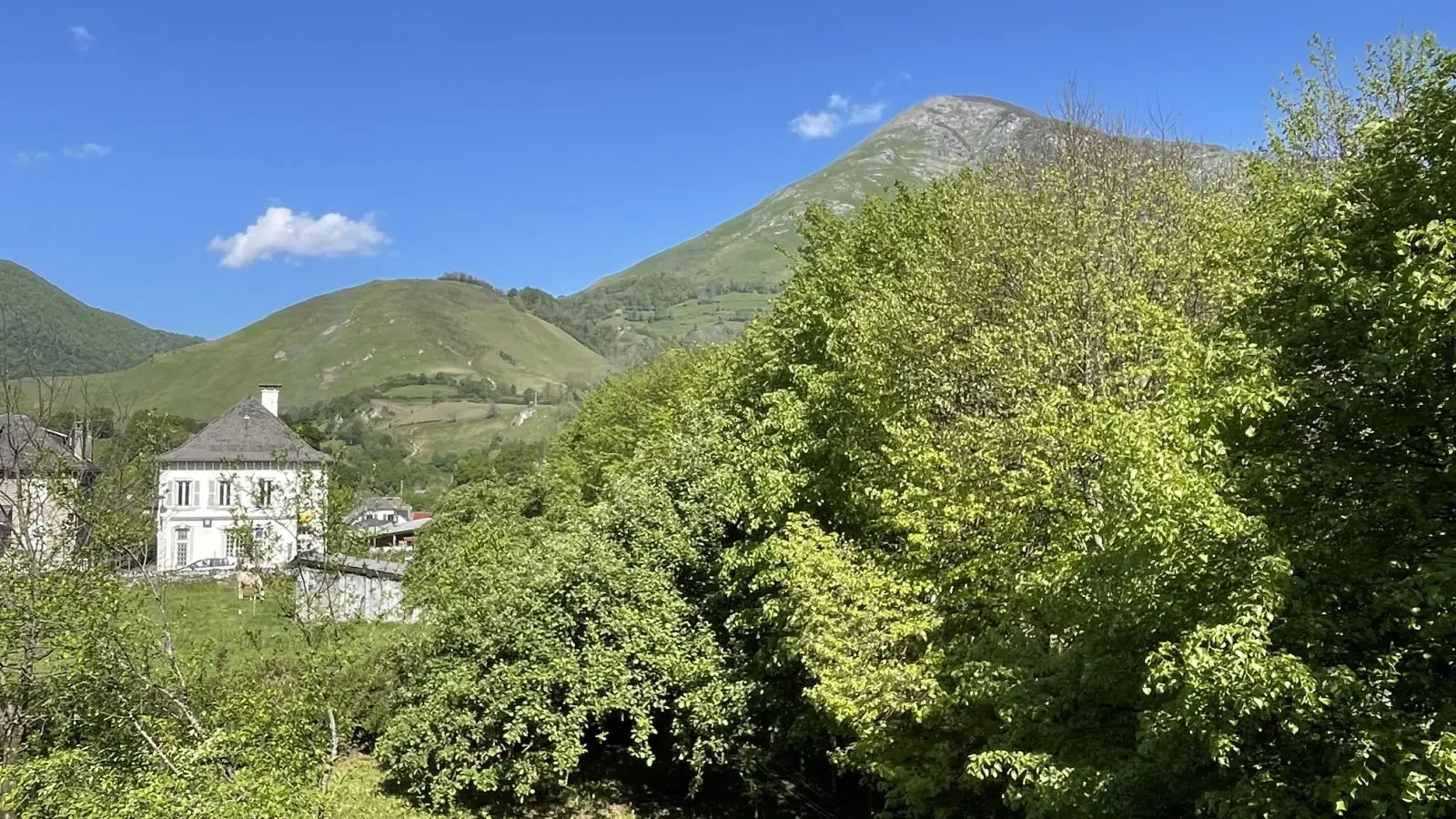 Gîte Teisseire - Vue de la chambre