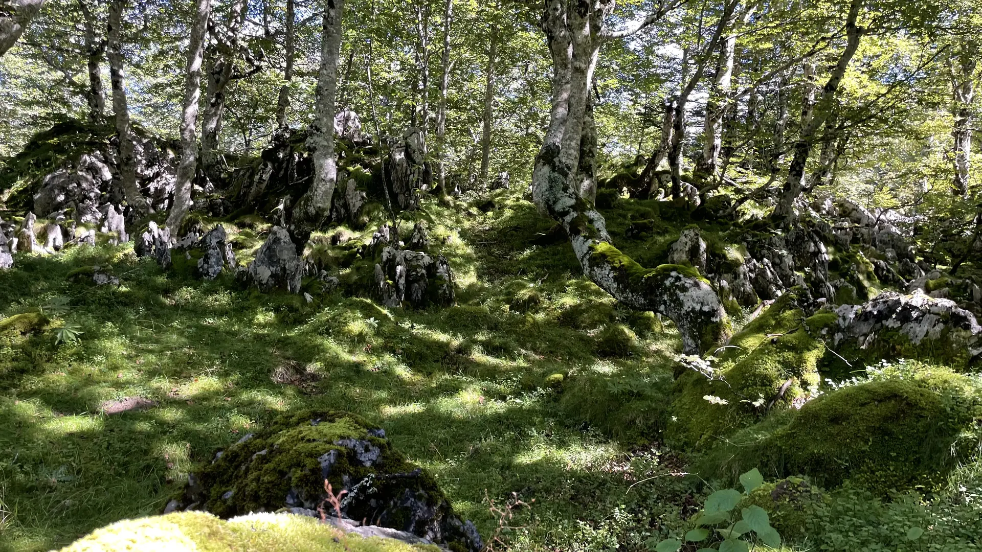 Parcours Tèrra Aventura 