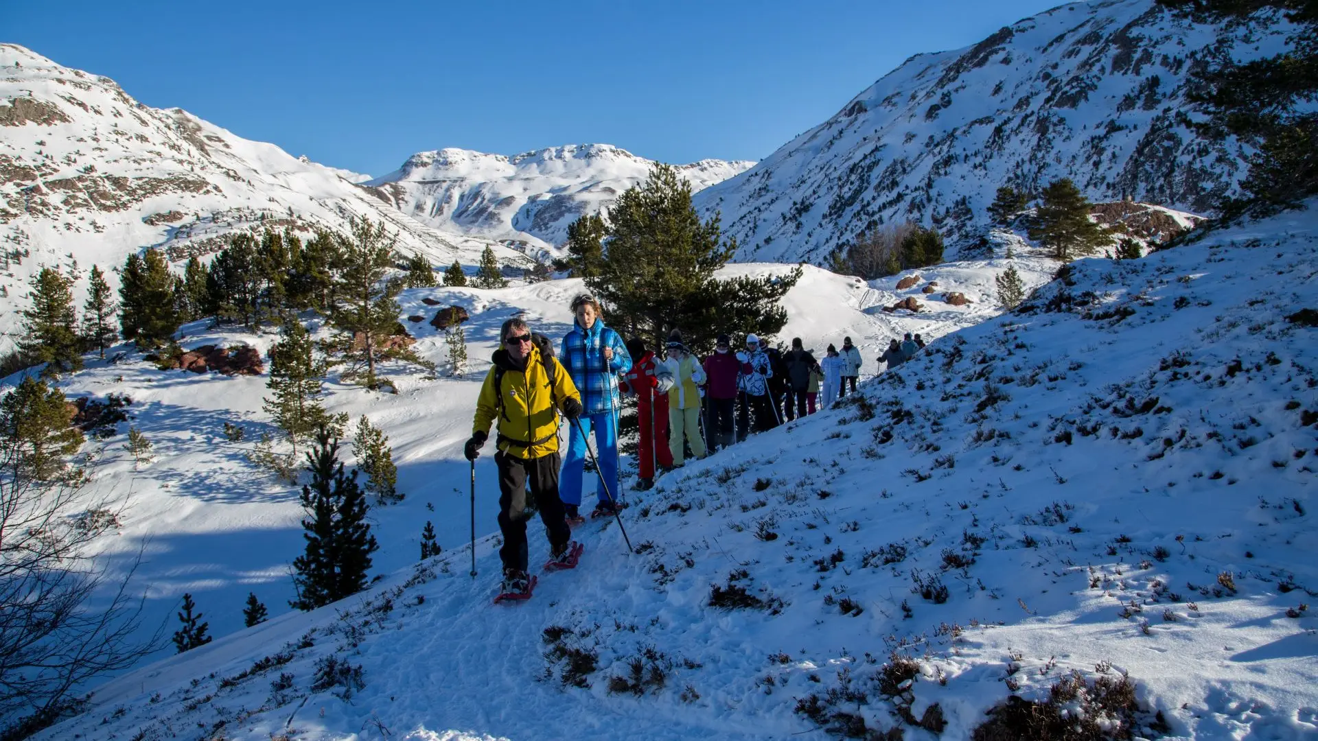 Sortie raquettes à neige