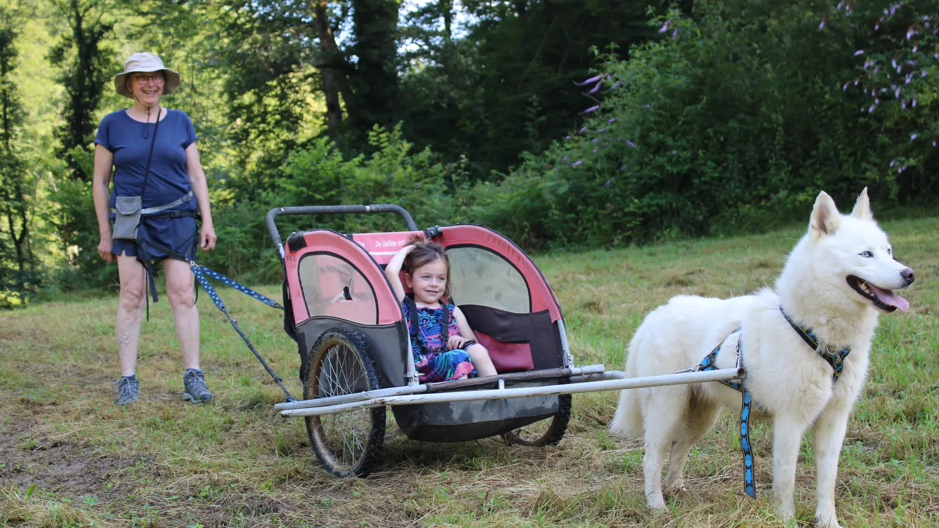 Cani-Sulky pour les plus petits