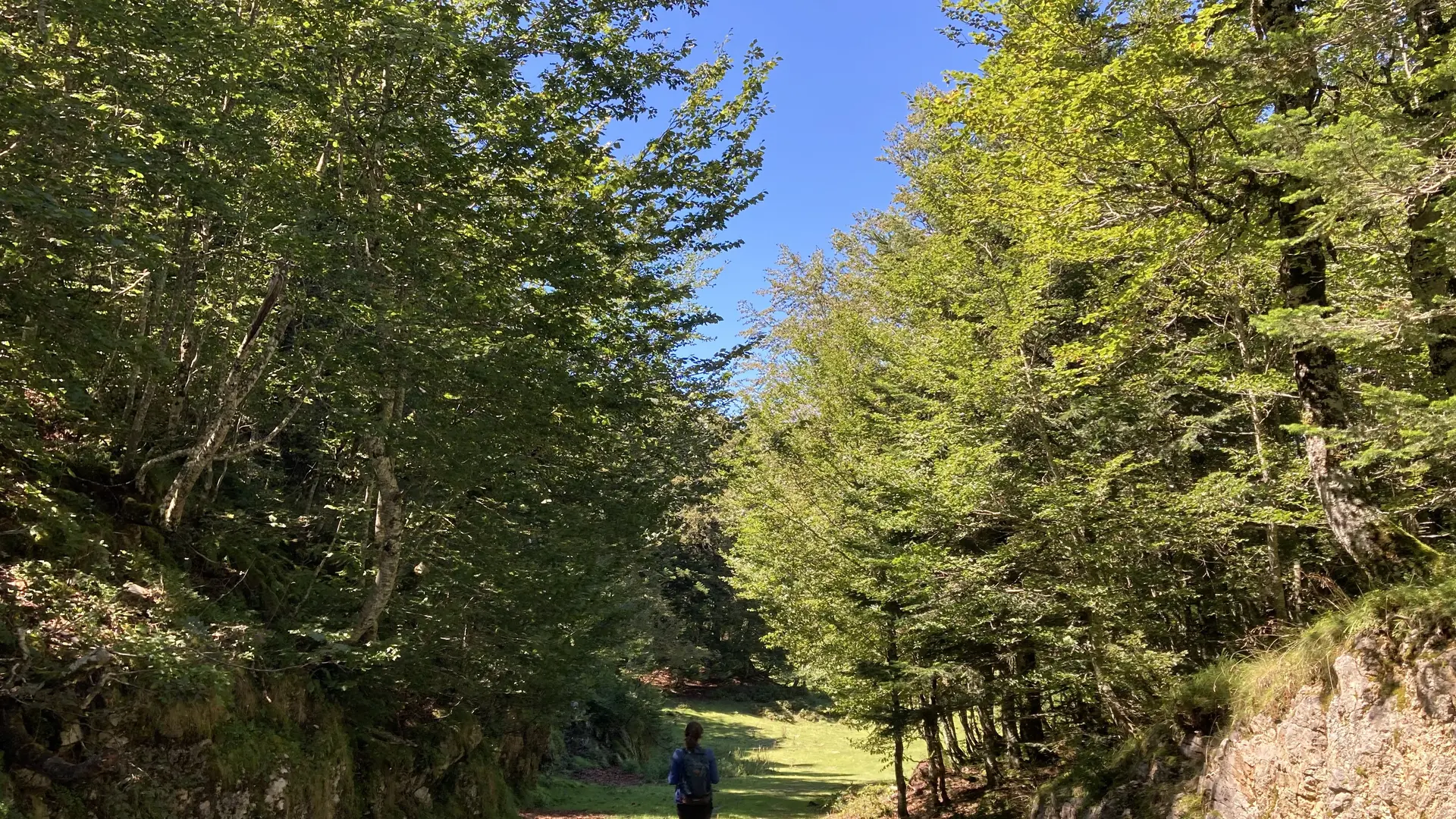 Balade dans la forêt de l'espace nordique de La Pierre Saint-Martin