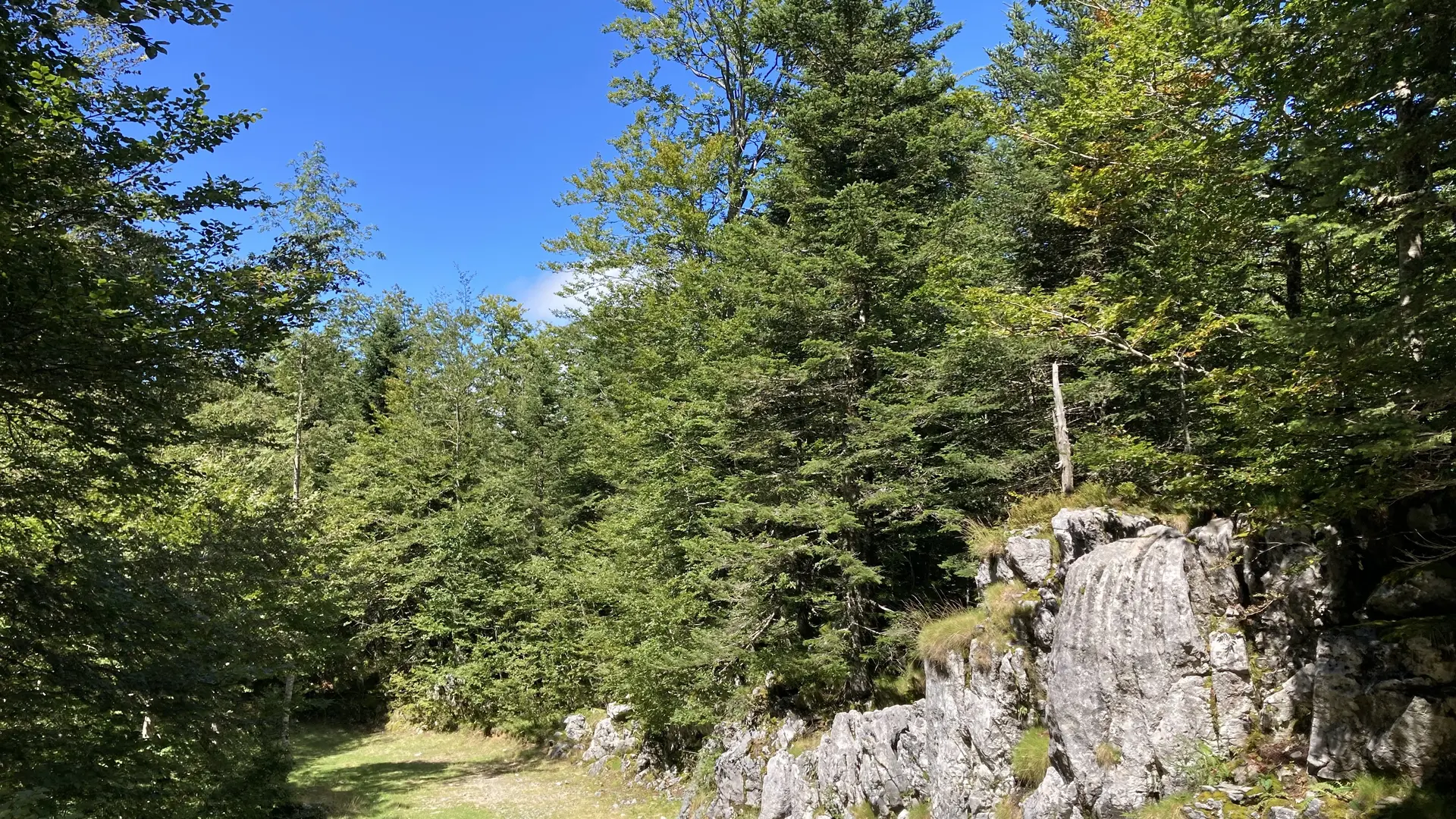 Parcours Tèrra Aventura 