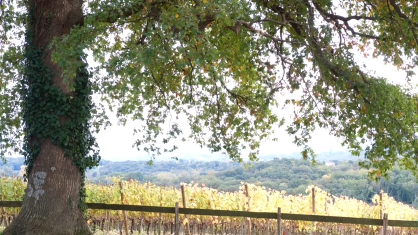 Domaine Mont d'Oraàs