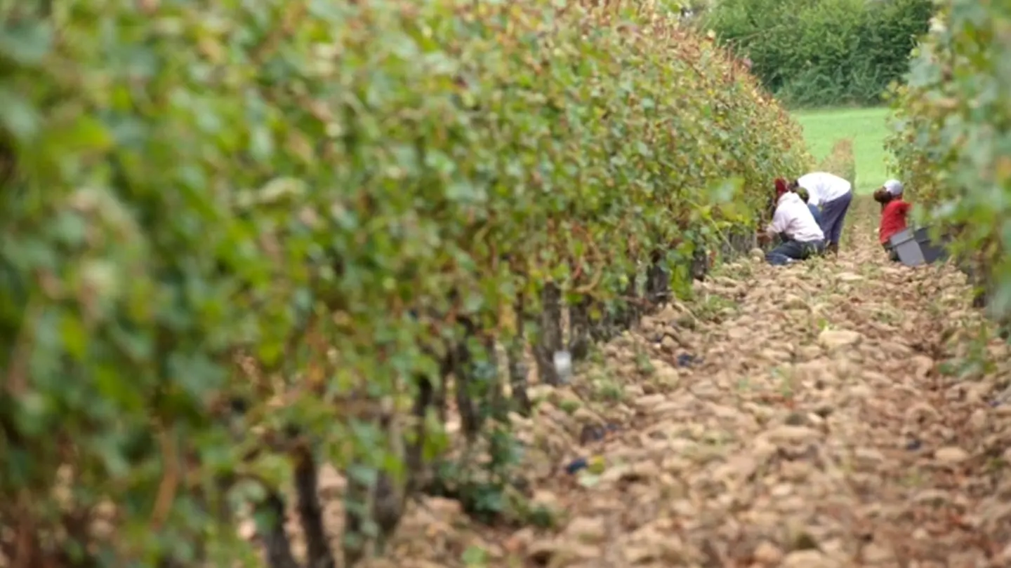 Domaine Mont d'Oraàs