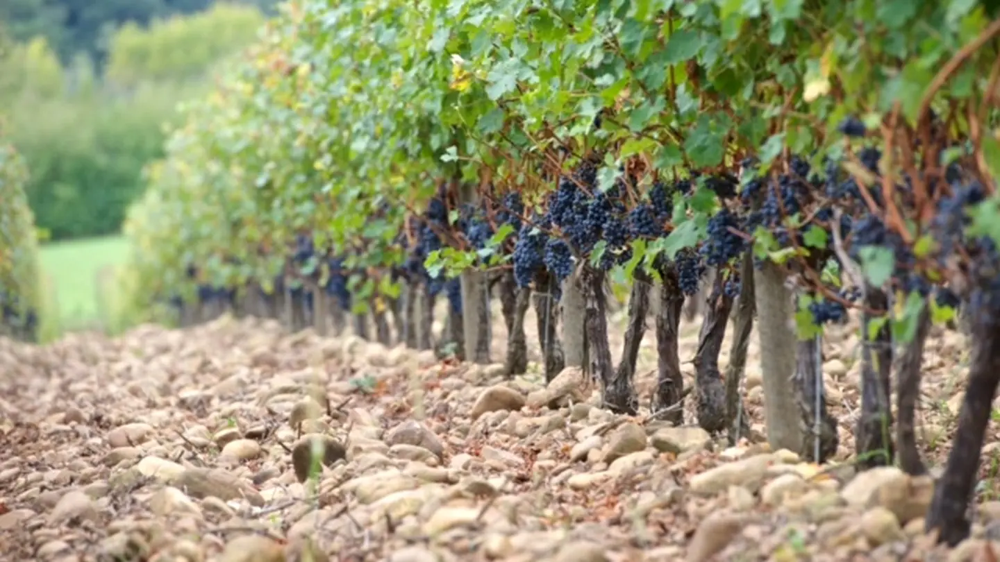 Domaine Mont d'Oraàs