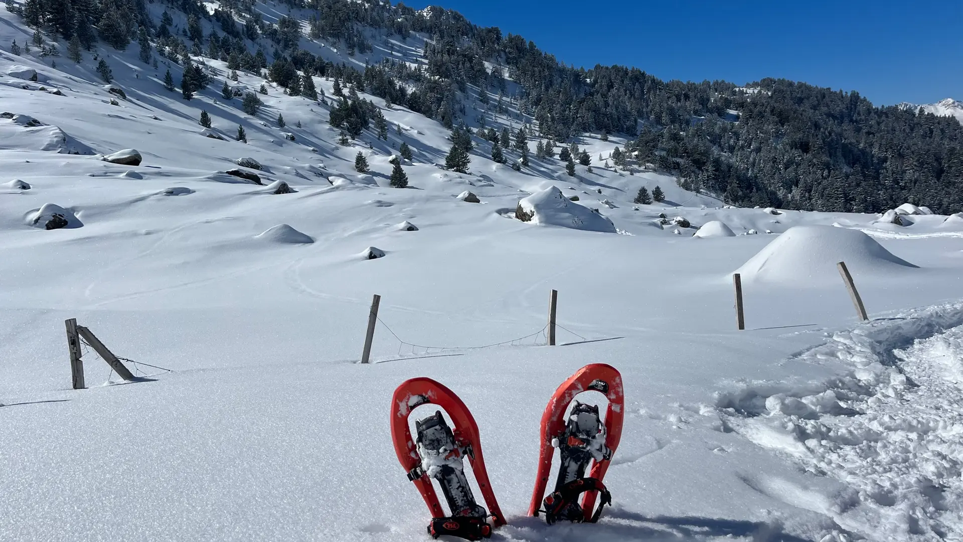 Sortie en raquettes à neige en Pyrénées béarnaises