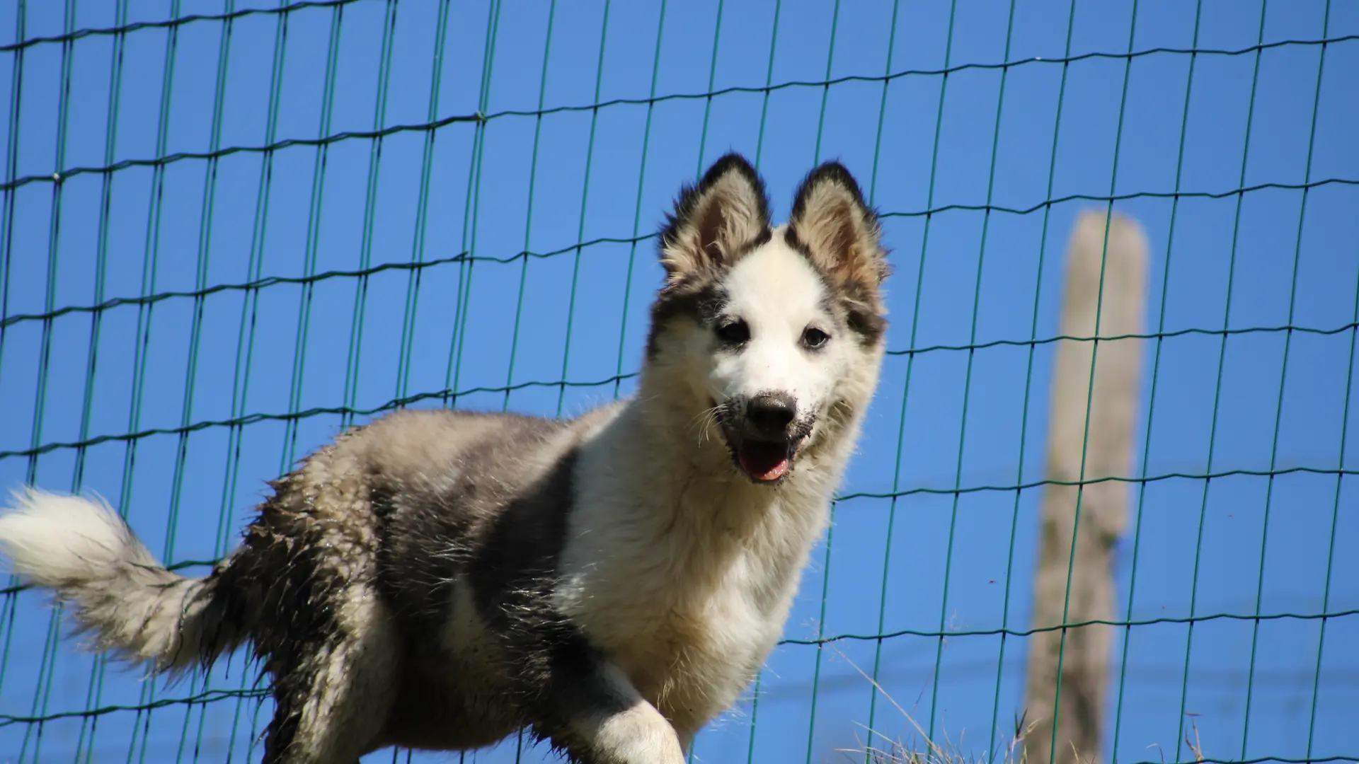 Découverte de la Grange du Musher à Oloron Sainte Marie