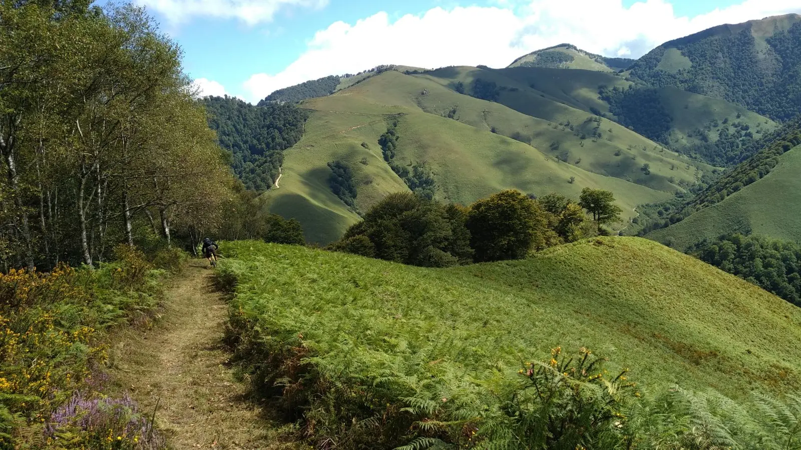 Sortie VTT