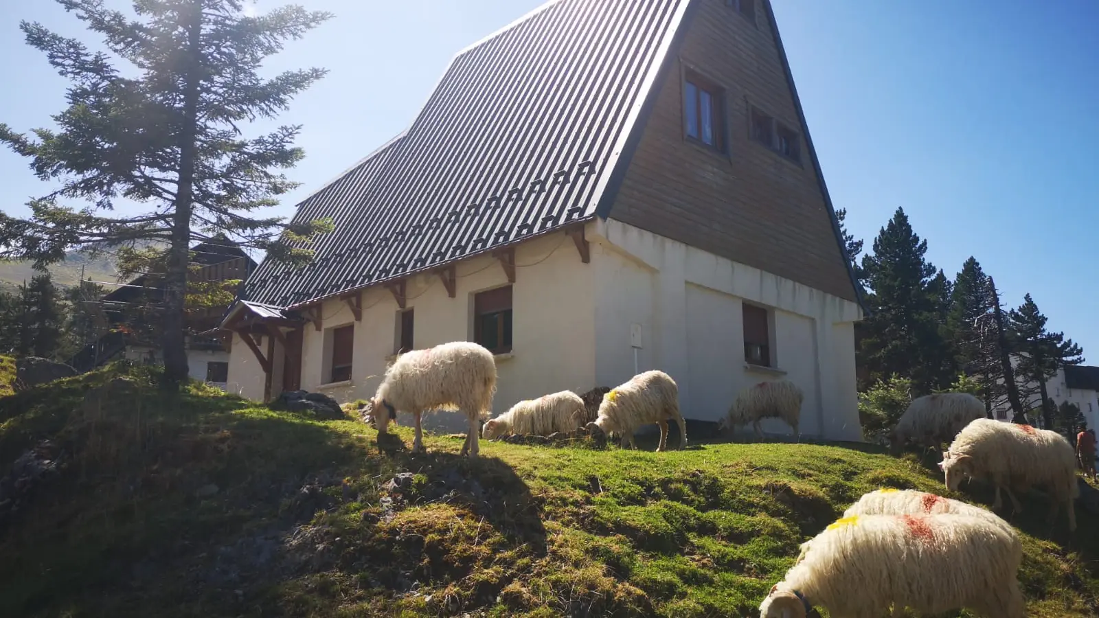 CHALET été