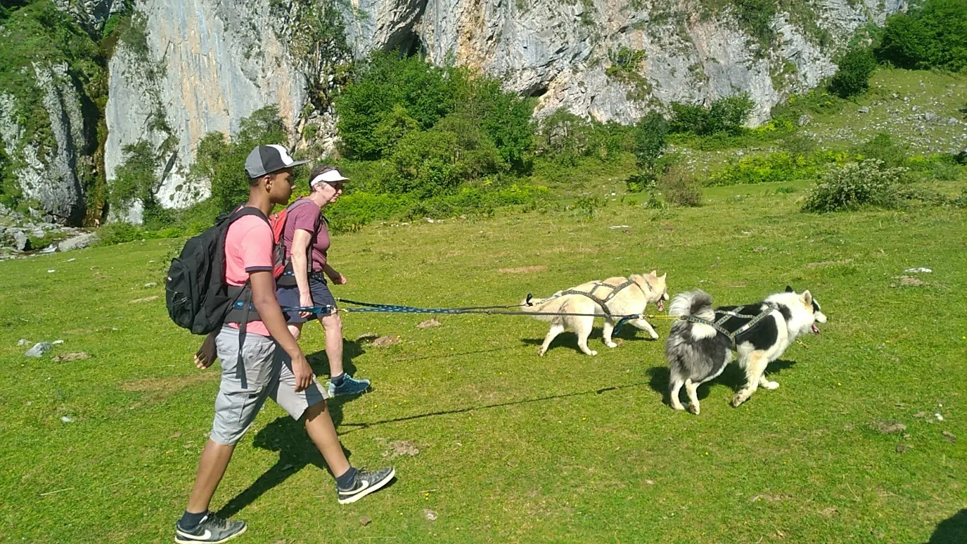 Cani-Rando en été à l'espace nordique de La Pierre Saint-Martin