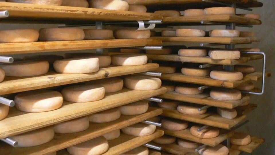 Visite du saloir à fromages