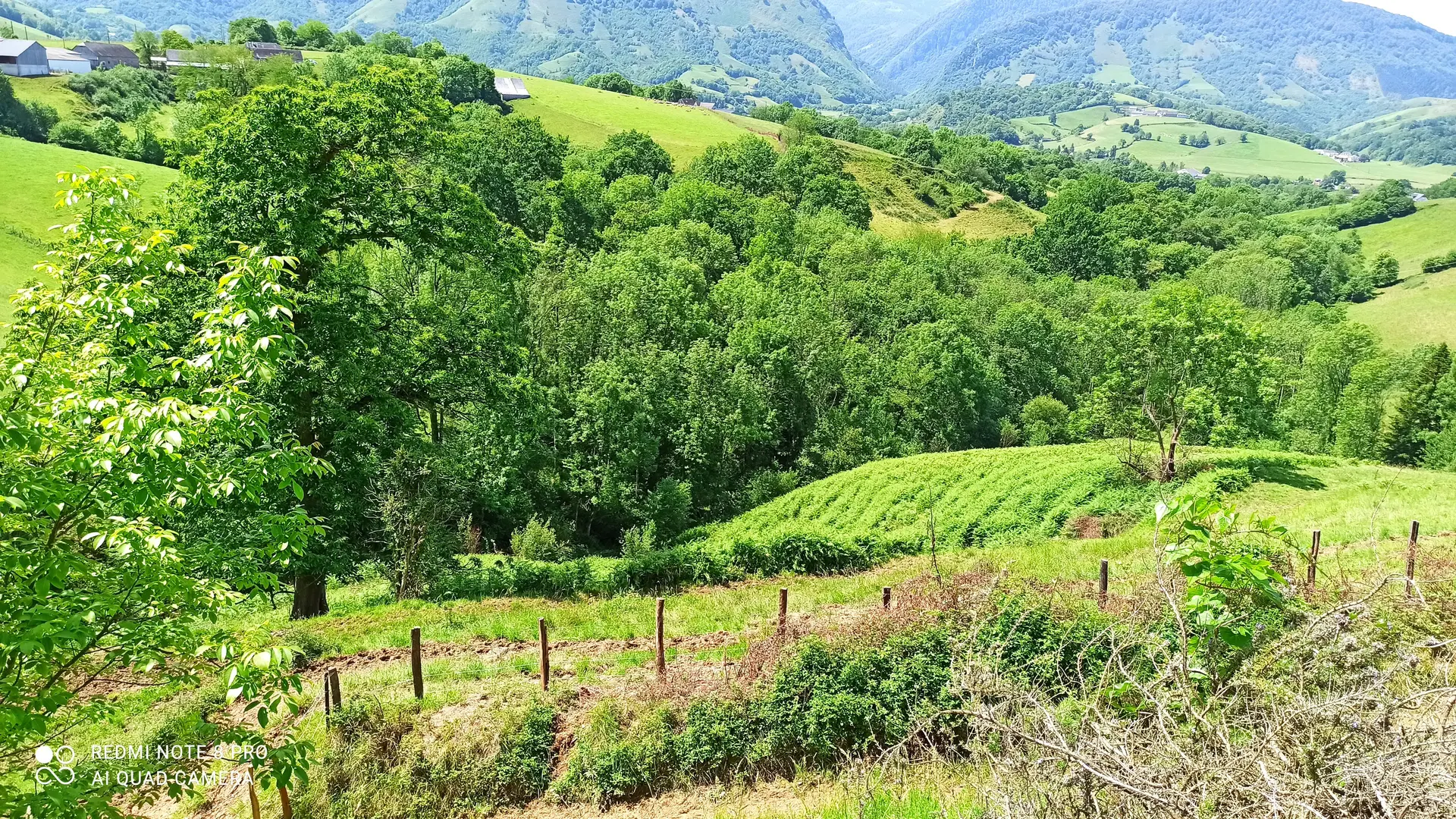 Vue depuis la terrasse
