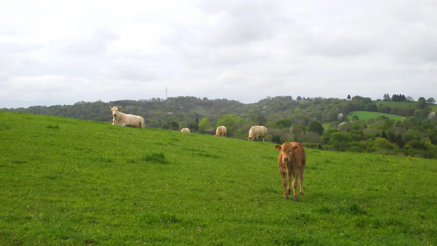 Maisonnette Cambot 1440x900