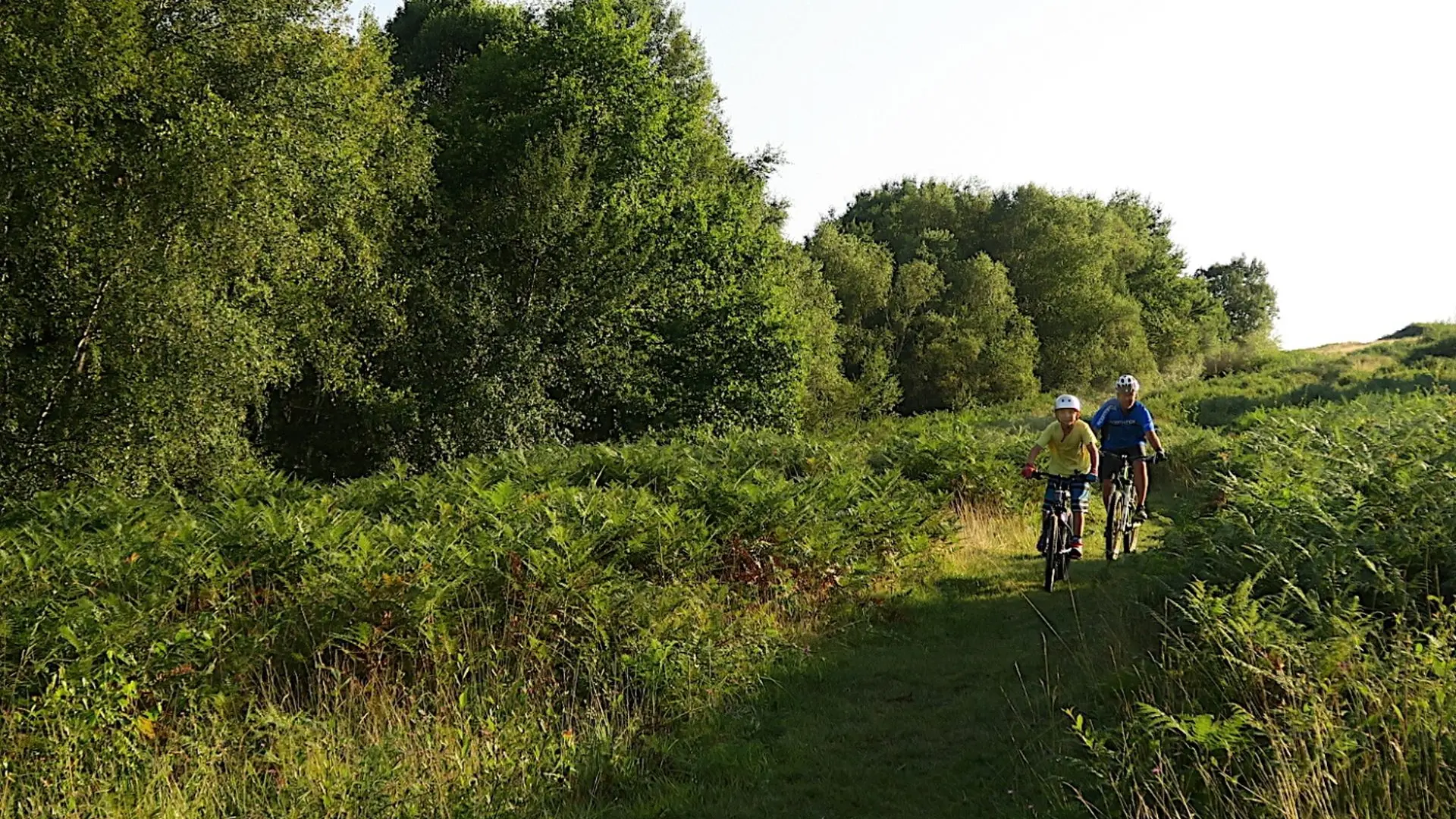 Bois du Haut VTT