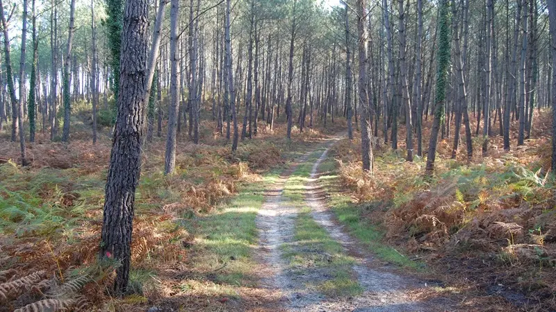 circuit 16-6-1-4