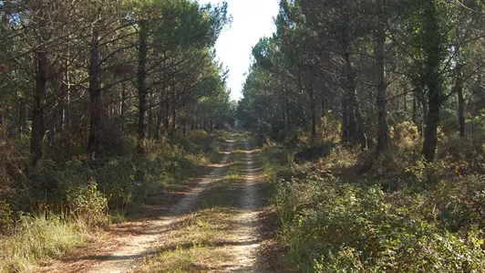 circuit 16-6-2-1