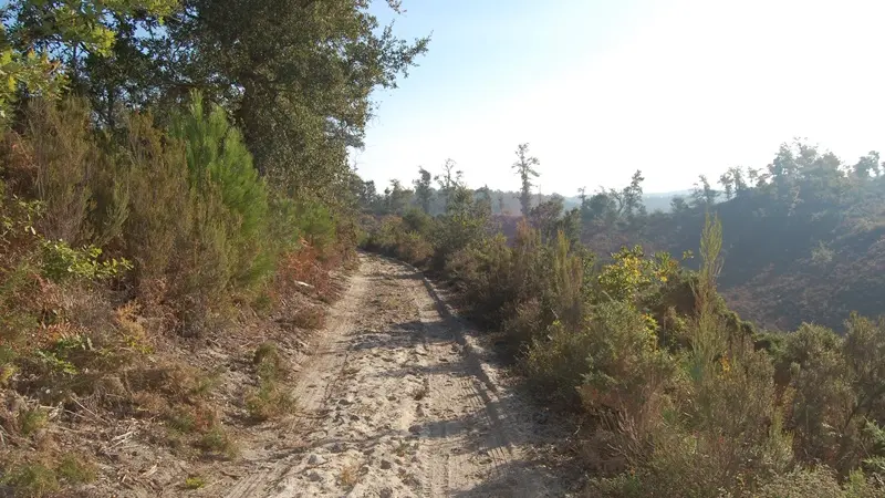 circuit 16-6-2-3