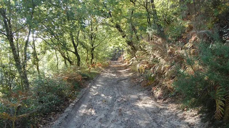 circuit 16-6-2-4