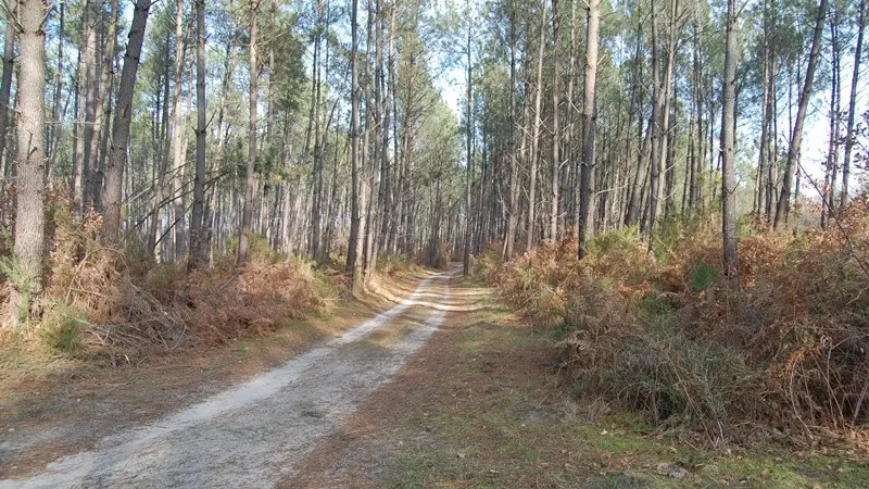 circuit 16-8-1-1